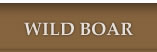 Wild Boar