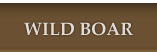 Wild Boar