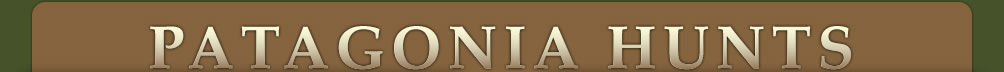 Patagonia Hunts